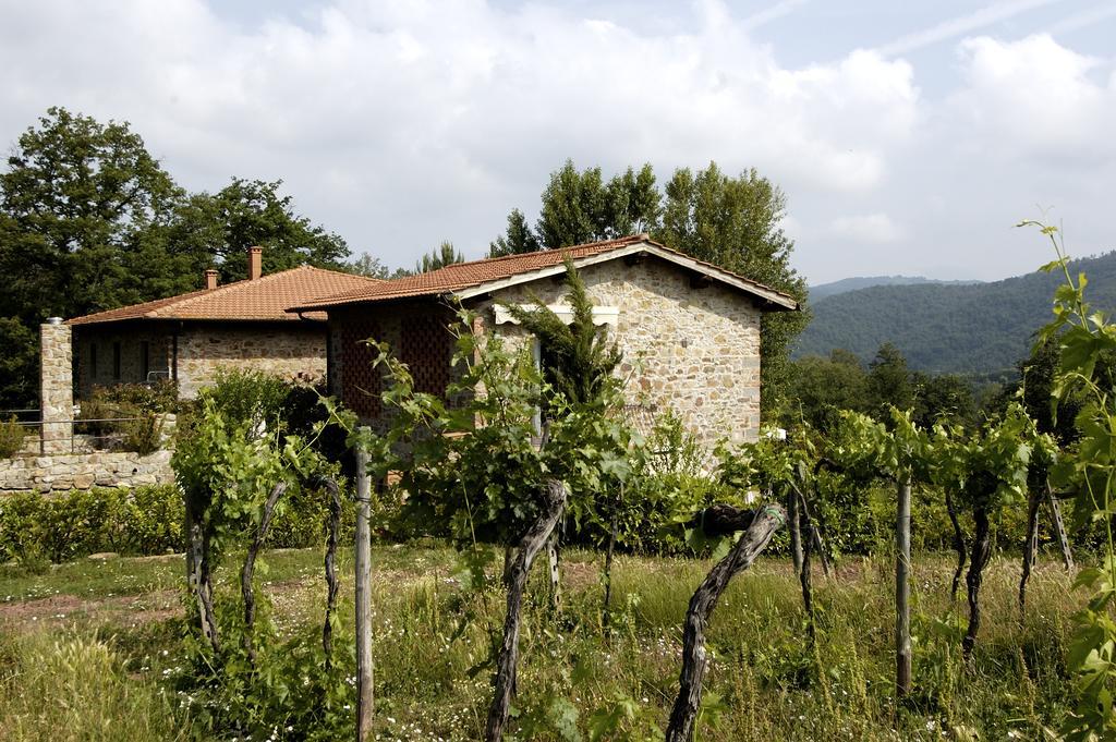 Castello Di Querceto Bauernhof *
